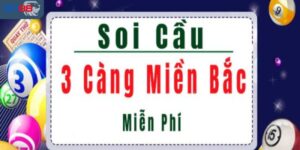  Cách lập dàn đề chơi quanh năm đơn giản nhất