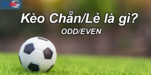 Sơ lược về cược chẵn lẻ tại Sin88