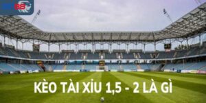 Tìm hiểu vài nét cơ bản về kèo một trái rưỡi hai trái 